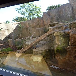 Outside Part of Otter Exhibit