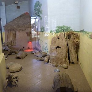 Meerkat Exhibit