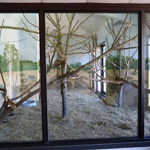 Ring Tailed & Ruffed Lemur Exhibit