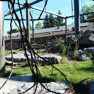 Inside Looking in Primate Park