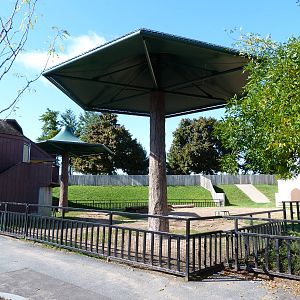 Elephant Demonstration Yard