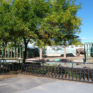 Main Elephant Exhibit