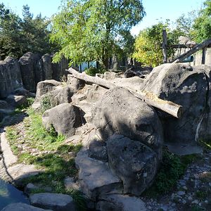 Spectacled Bear Exhibit