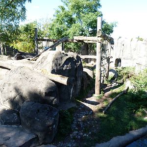 Side of Spectacled Bear Exhibit