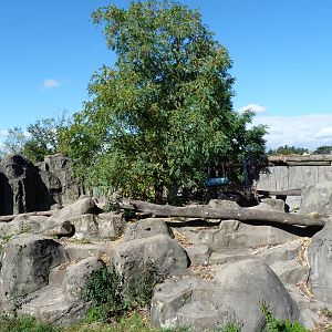 View from top of Spectacled Bear Exhibit