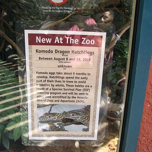 Komodo Dragon Signage - Children's Zoo