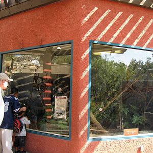 Young Komodo Dragon Exhibit - Children's Zoo