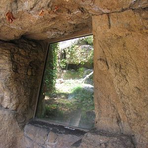 Ocelot Habitat Viewing Window - Children's Zoo