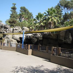 California Brown Pelican Exhibit - Children's Zoo