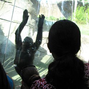 Young Glenda Entertaining Visitors