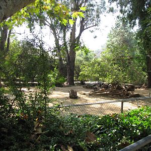 Speke's Gazelle Yard