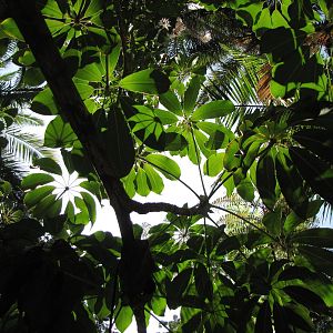 Los Angeles Zoo and Botanical Gardens