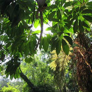 Los Angeles Zoo and Botanical Gardens