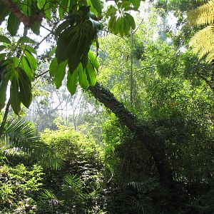 Los Angeles Zoo and Botanical Gardens