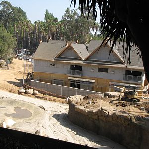 Elephants of Asia Construction Site - October 3, 2010