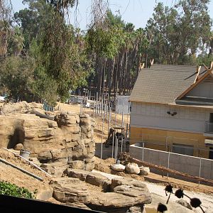 Elephants of Asia Construction Site - October 3, 2010