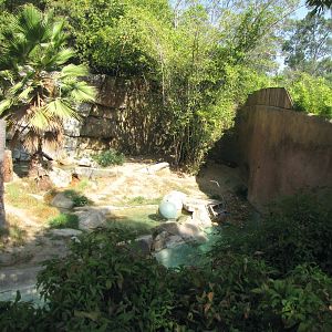 Sumatran Tiger Habitat