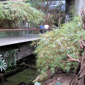 Lied Jungle-Lar Gibbon/Asian Small-clawed Otter Exhibit