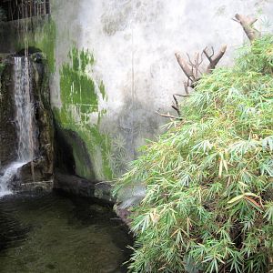 Lied Jungle-Waterfall