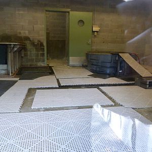 Penguin Holding Area