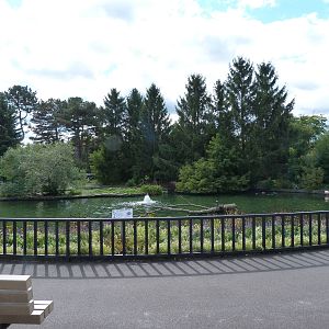 Center Waterfowl Pond