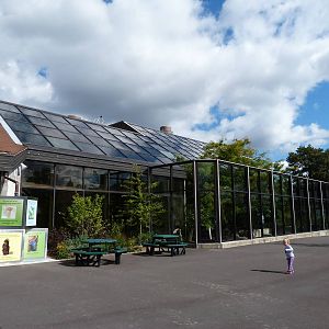 Outside Area of Bird Aviary