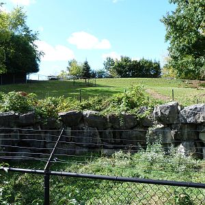 Guanaco/Grey Wolf Exhibit