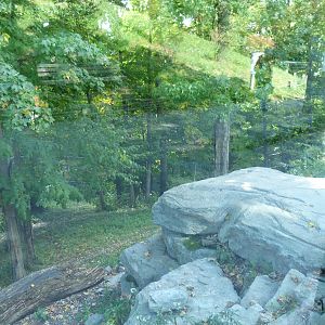 Left side of Tiger Exhibit