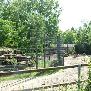 Giraffe and Antelope Exhibits at Wilhelma, Stuttgart 02/09/10