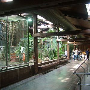 Giraffe House Interior at Wilhelma, Stuttgart 02/09/10