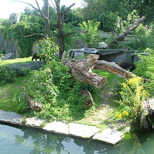 Spectacled Bear Exhibit at Wilhelma, Stuttgart 02/09/10