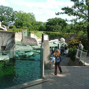 Polar Bear Exhibit at Wilhelma, Stuttgart 02/09/10