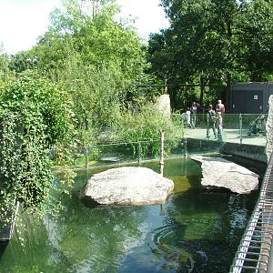 Beaver Exhibit at Wilhelma, Stuttgart 02/09/10