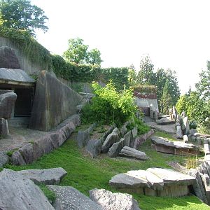Rocky Mountain Goat Exhibit at Wilhelma, Stuttgart 02/09/10