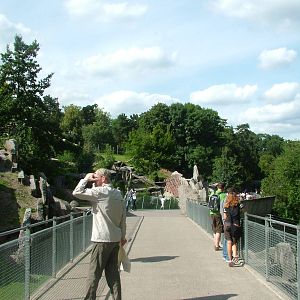 Goat Viewing at Wilhelma, Stuttgart 02/09/10