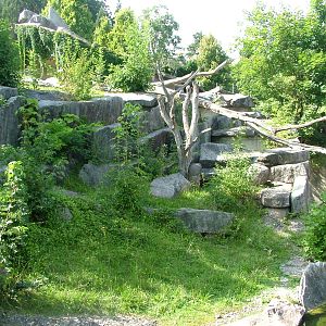 Syrian Bear Exhibit at Wilhelma, Stuttgart 02/09/10