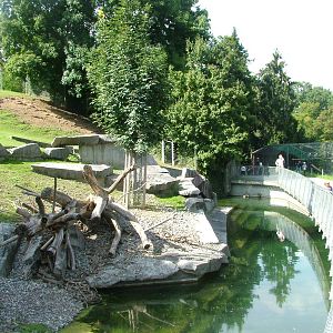 Alpine Ibex Exhibit at Wilhelma, Stuttgart 02/09/10