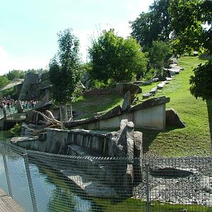 Alpine Ibex Exhibit at Wilhelma, Stuttgart 02/09/10