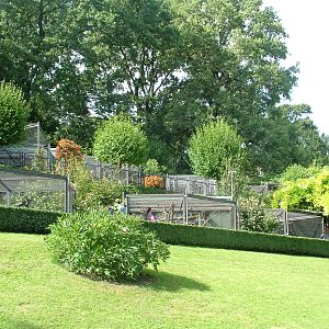 Parrot Terraces at Wilhelma, Stuttgart 02/09/10