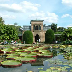 Lilypond at Wilhelma, Stuttgart 02/09/10