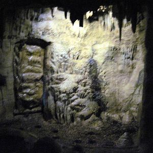 Lied Jungle-Vampire Bat Exhibit