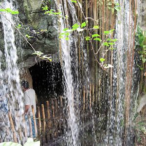 Lied Jungle-Waterfall