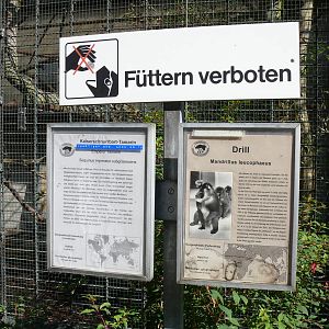 Fantastically old-school signs