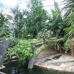 Crocodile Exhibit at Wilhelma, Stuttgart 02/09/10