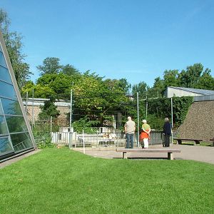 Gannet Exhibit at Wilhelma, Stuttgart 02/09/10