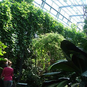 Amazon House Interior at Wilhelma, Stuttgart 02/09/10