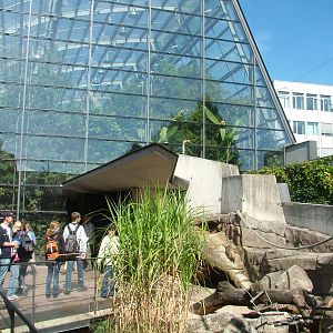 Amazon House at Wilhelma, Stuttgart 02/09/10