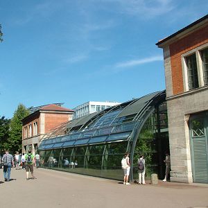 Invertebrate House at Wilhelma, Stuttgart 02/09/10