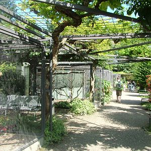 Parrot Terraces at Wilhelma, Stuttgart 02/09/10