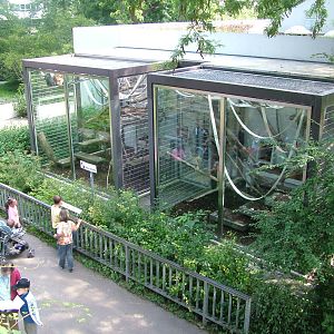 Langur Exhibits at Wilhelma, Stuttgart 02/09/10